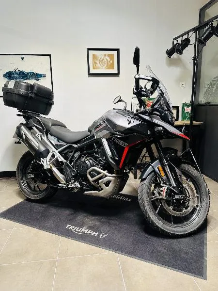 Tiger 900 GT PRO