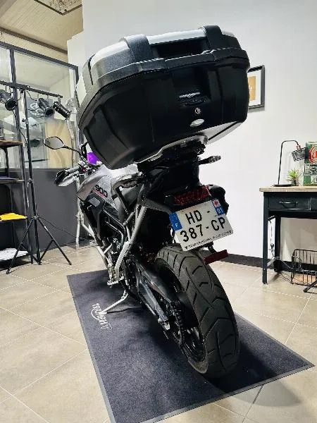 Tiger 900 GT PRO