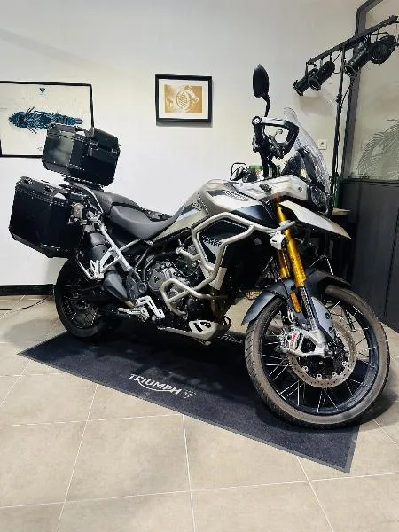 TIGER 900 RALLY PRO