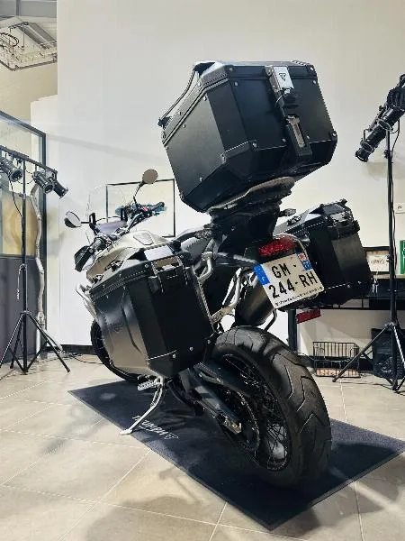 TIGER 900 RALLY PRO