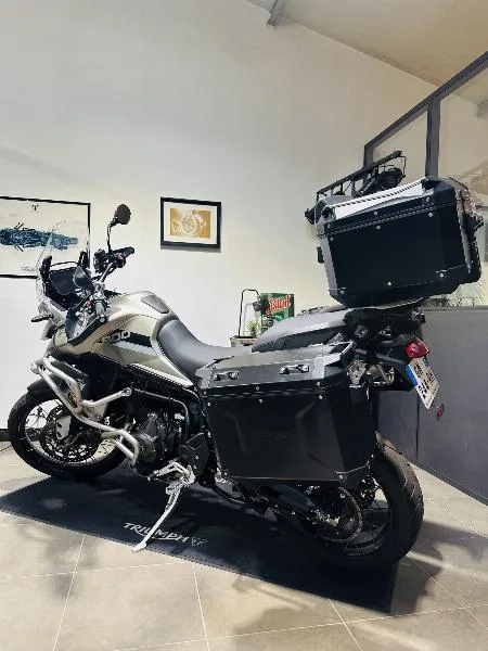 TIGER 900 RALLY PRO