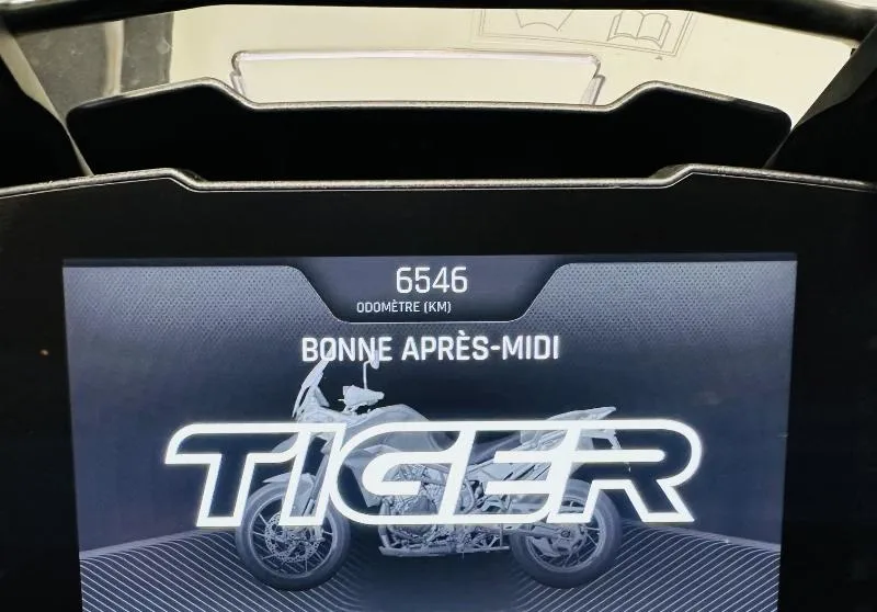 TIGER 900 RALLY PRO