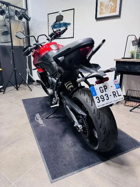 TIGER SPORT 660