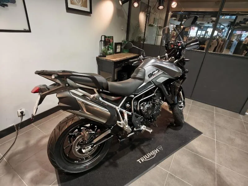 Tiger 900 GT Pro A2