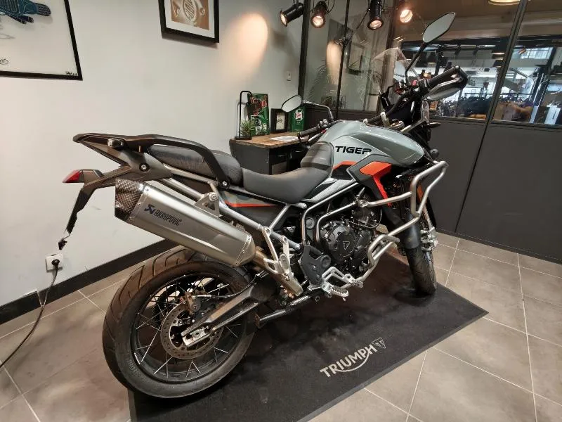 TIGER 900 Desert Edition