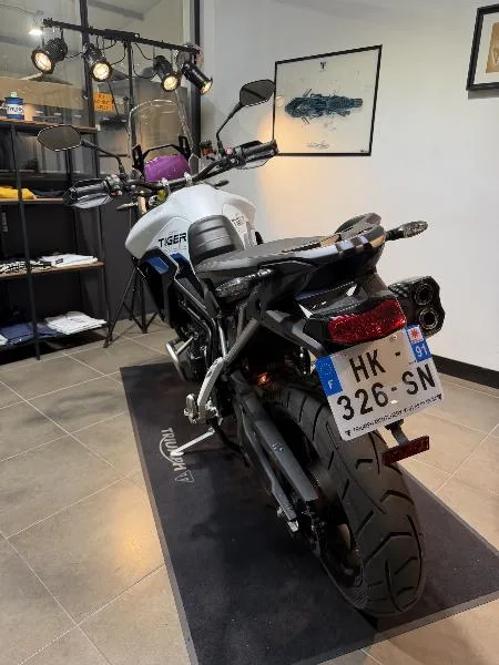 Tiger 900 Alpine Edition