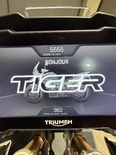 TIGER 900 RALLY PRO