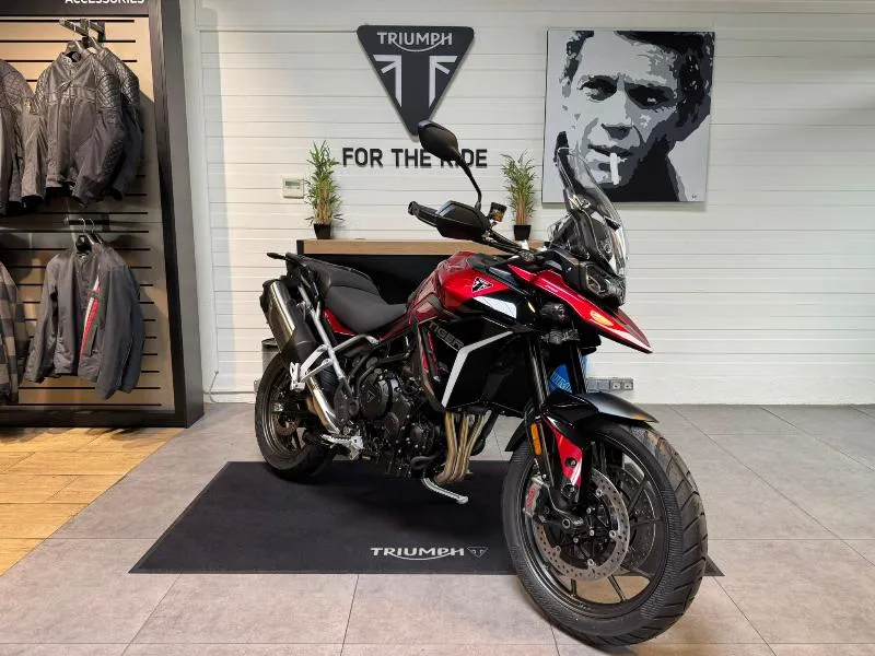 Tiger 900 GT Pro A2