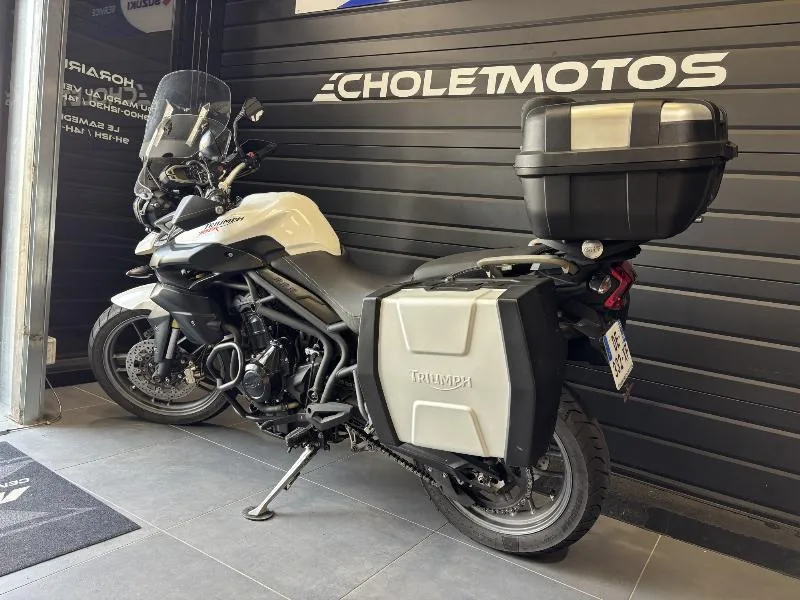 TIGER 800