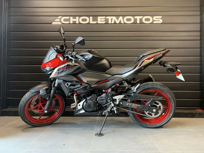Z 500 SE