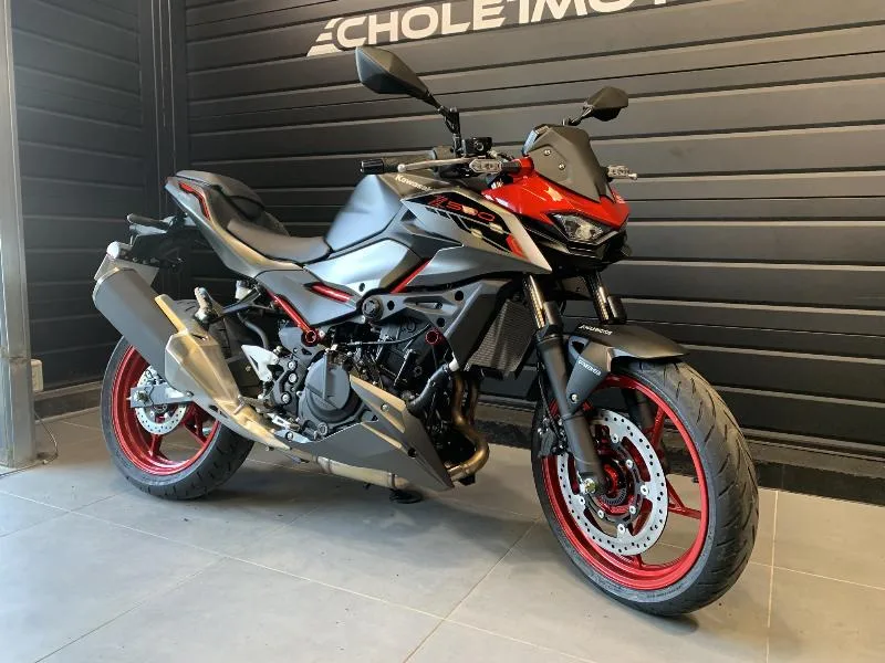 Z 500 SE