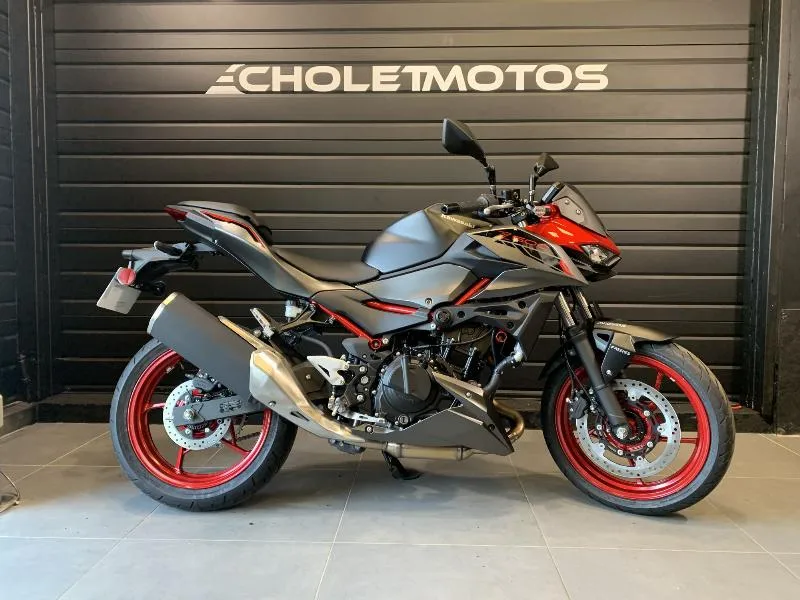 Z 500 SE