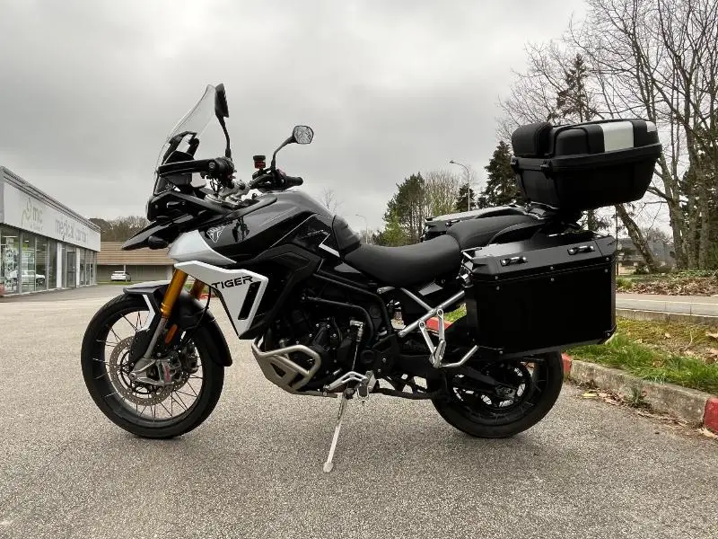 TIGER 900 RALLY PRO 2025
