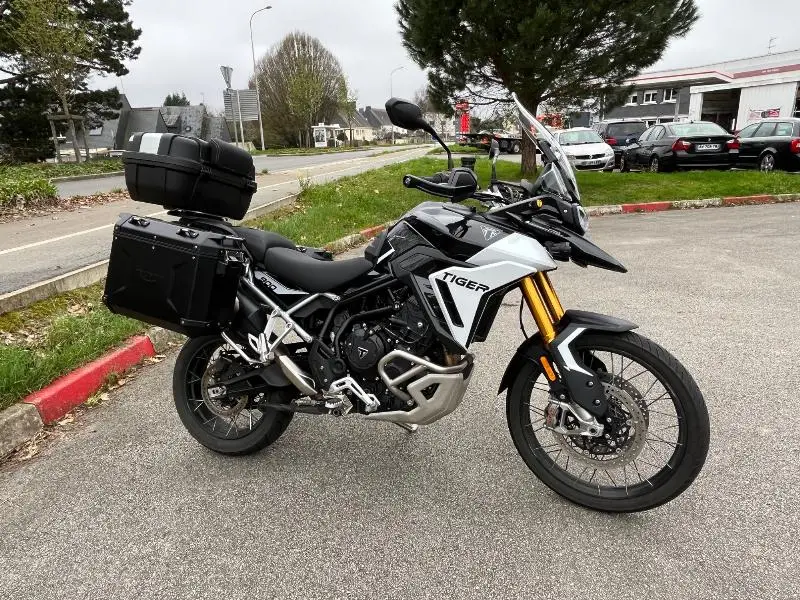 TIGER 900 RALLY PRO