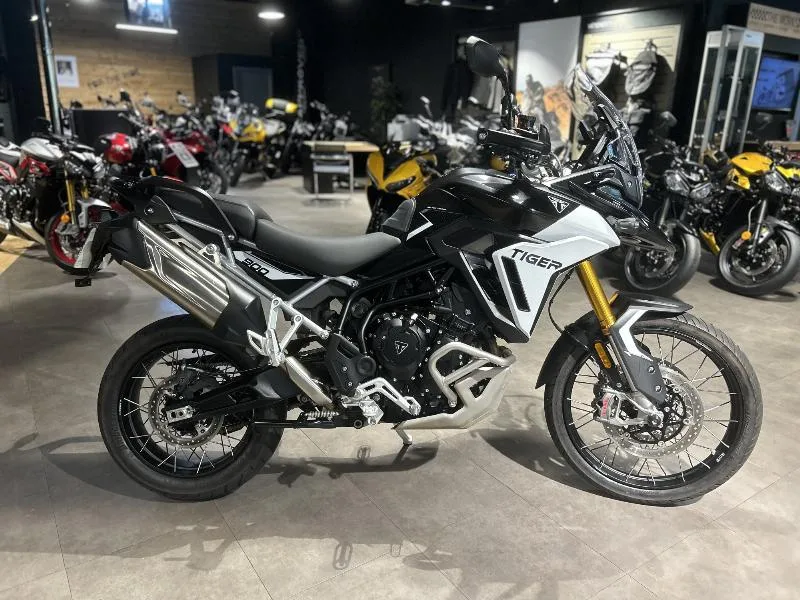TIGER 900 RALLY PRO