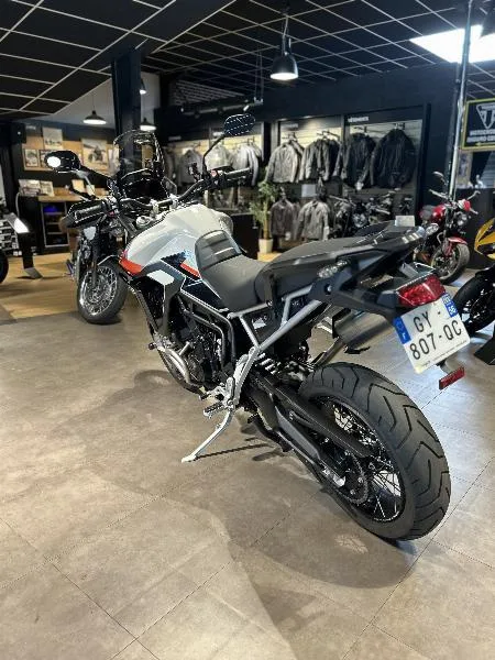 TIGER 900 RALLY PRO