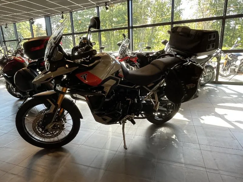 TIGER 900 RALLY PRO 2024