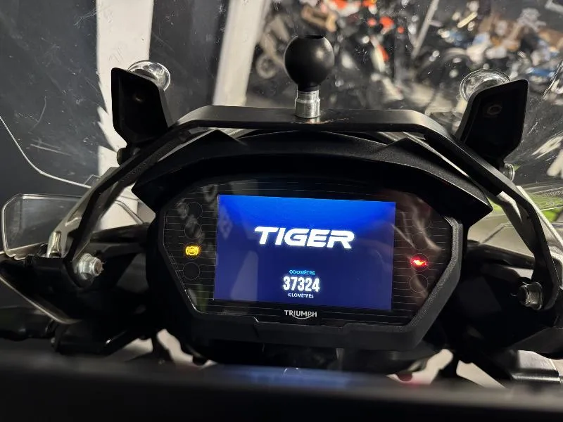 TIGER 1200 DESERT EDITION
