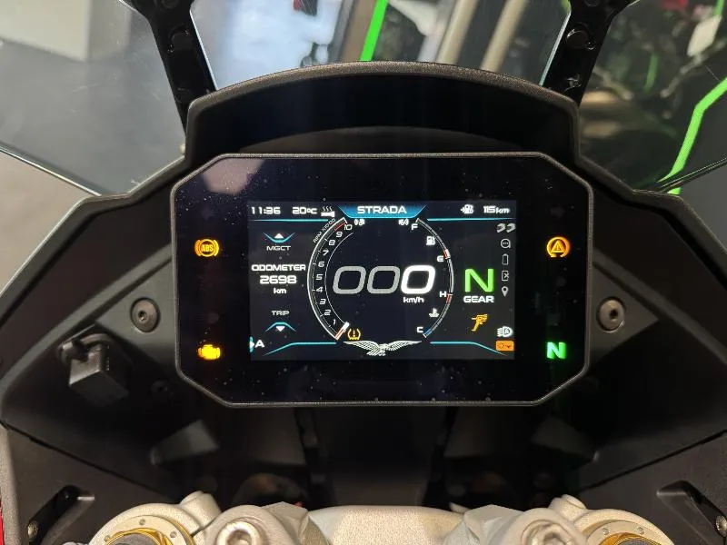 V100  MANDELLO