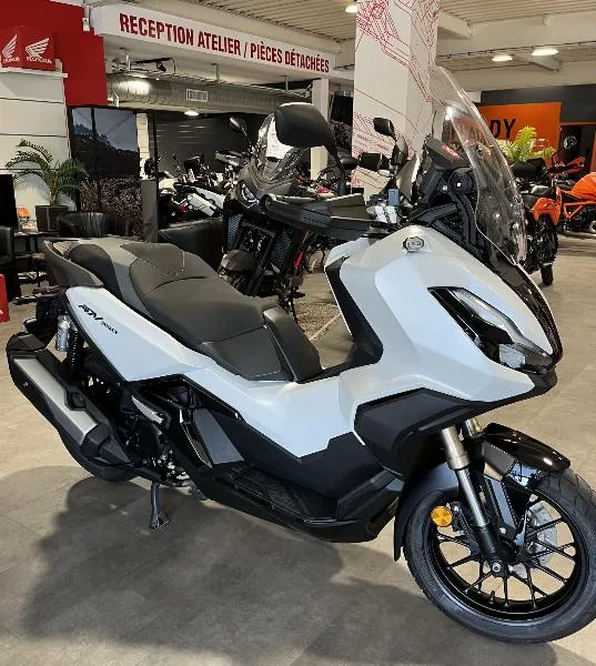 ADV 350 2024