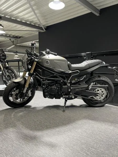 LEONCINO 800