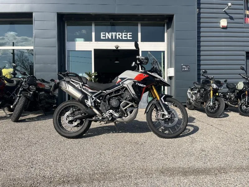 TIGER 900 RALLY PRO 2025