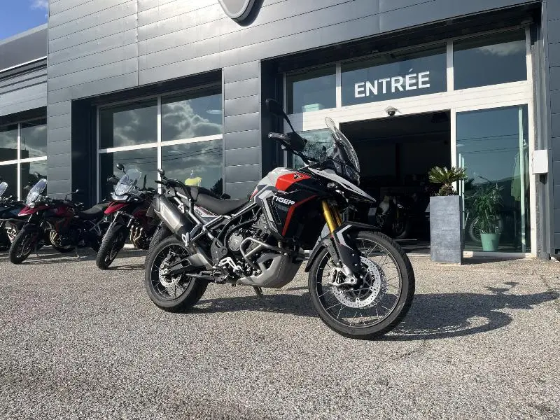 TIGER 900 RALLY PRO