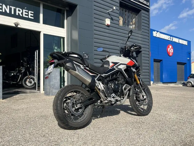 TIGER 900 RALLY PRO
