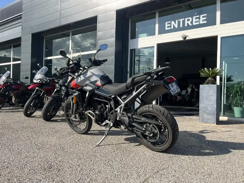 TIGER 900 RALLY PRO
