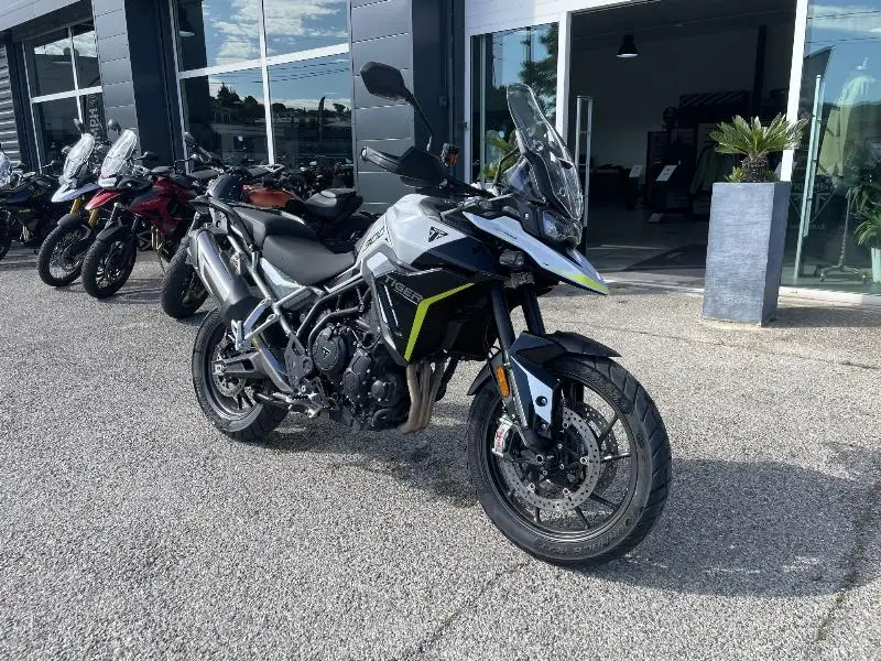 Tiger 900 GT PRO
