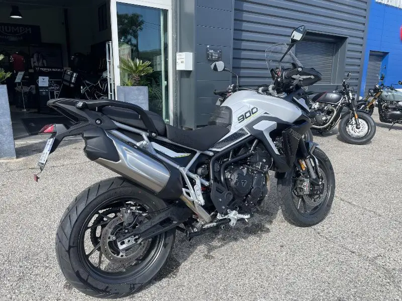 Tiger 900 GT PRO