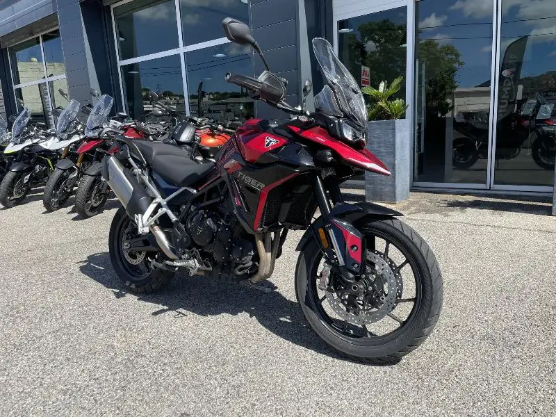 Tiger 900 GT PRO