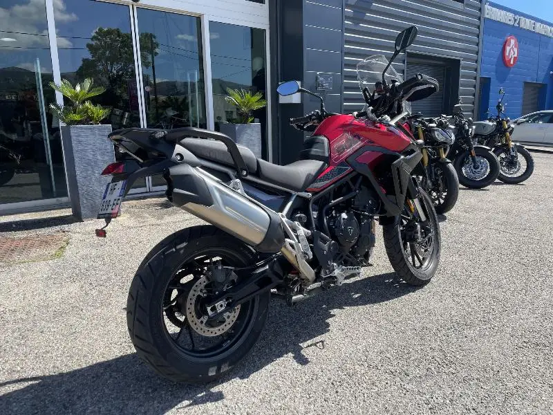 Tiger 900 GT PRO
