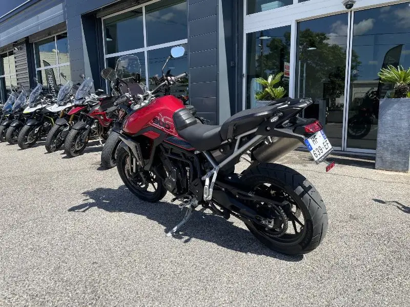 Tiger 900 GT PRO