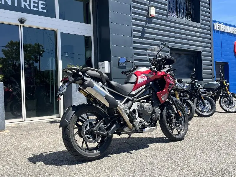 TIGER 1200 GT PRO