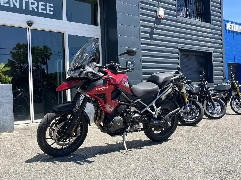 TIGER 1200 GT PRO