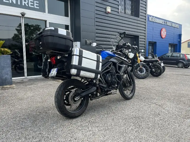 TIGER 800 XCX