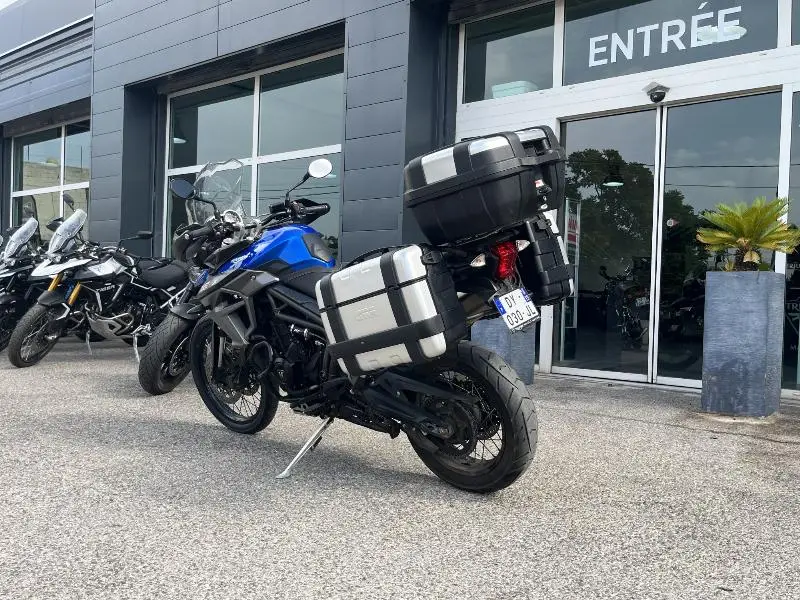TIGER 800 XCX