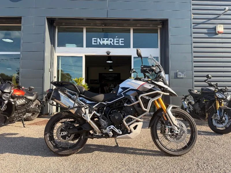 TIGER 900 RALLY PRO