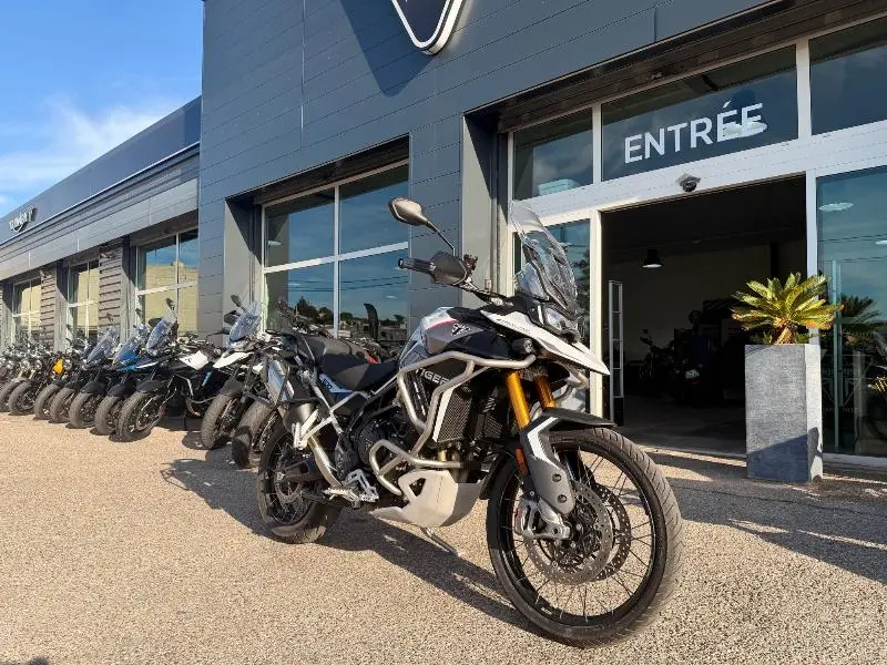 TIGER 900 RALLY PRO