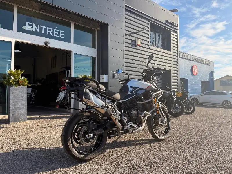 TIGER 900 RALLY PRO