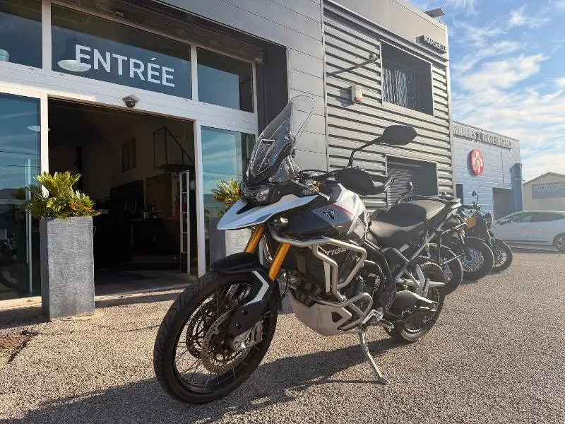 TIGER 900 RALLY PRO