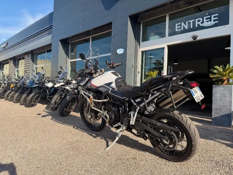 TIGER 900 RALLY PRO