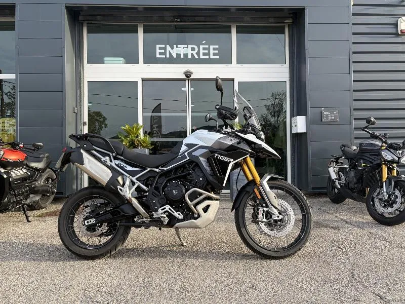TIGER 900 RALLY PRO