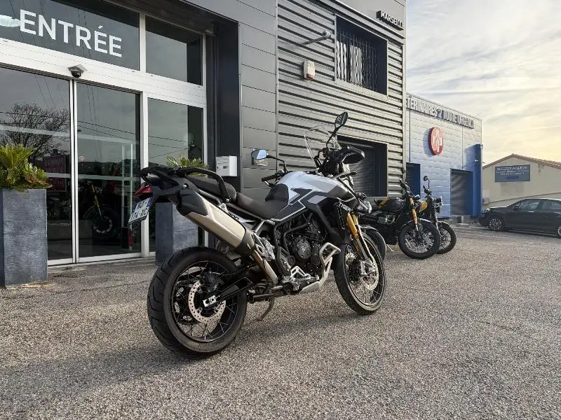 TIGER 900 RALLY PRO