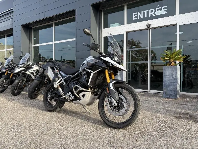 TIGER 900 RALLY PRO