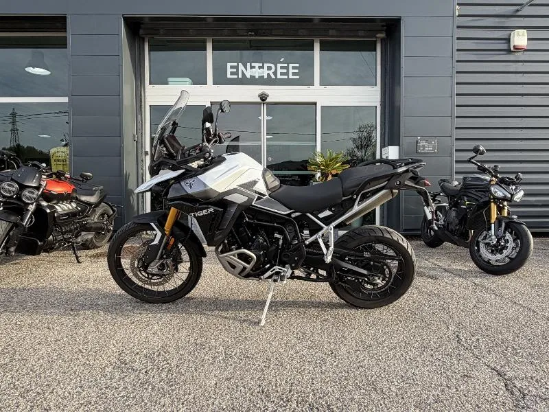 TIGER 900 RALLY PRO