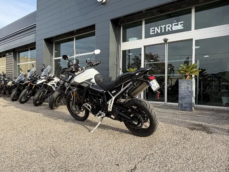 TIGER 900 RALLY PRO