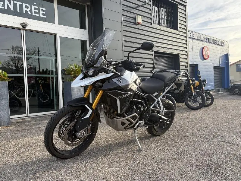 TIGER 900 RALLY PRO