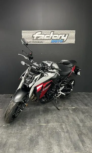 GSXS 950